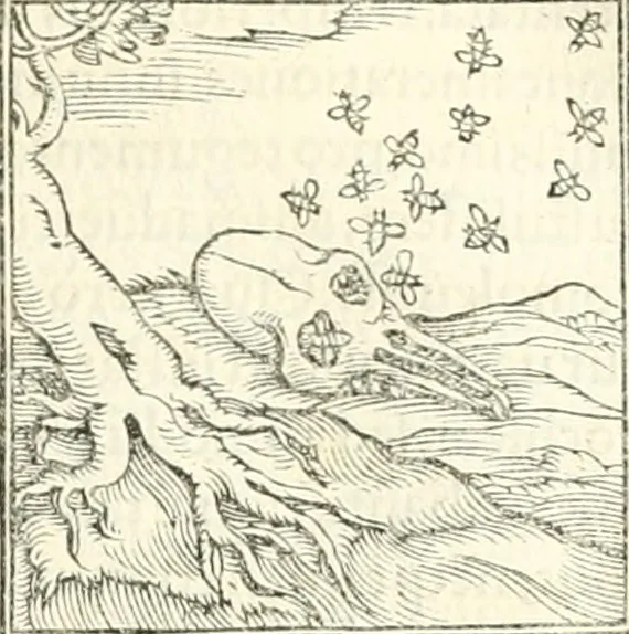 An illustration from Hieroglyphica, sive, De sacris Aegyptiorvm literis commentarii, 1556, leaf 382