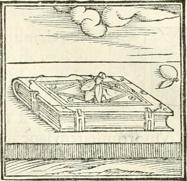 An illustration from Hieroglyphica, sive, De sacris Aegyptiorvm literis commentarii, 1556, leaf 385