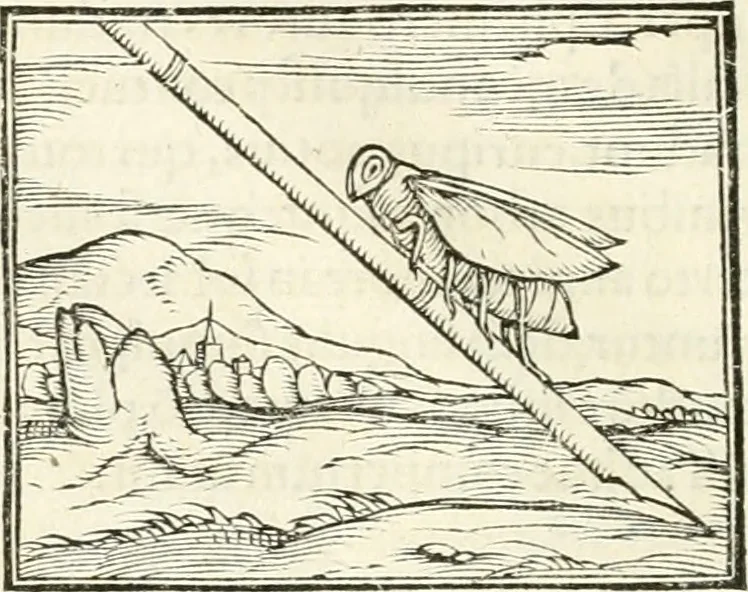 An illustration from Hieroglyphica, sive, De sacris Aegyptiorvm literis commentarii, 1556, leaf 387