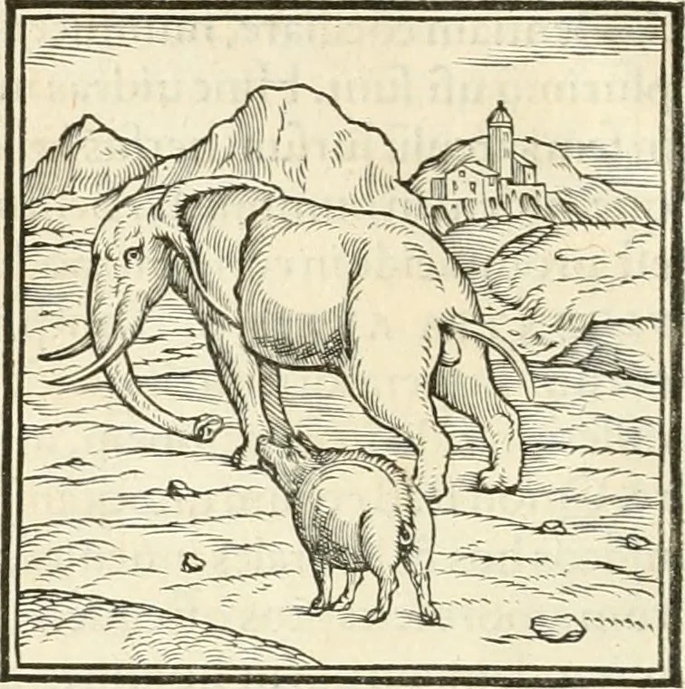 An illustration from Hieroglyphica, sive, De sacris Aegyptiorvm literis commentarii, 1556, leaf 39