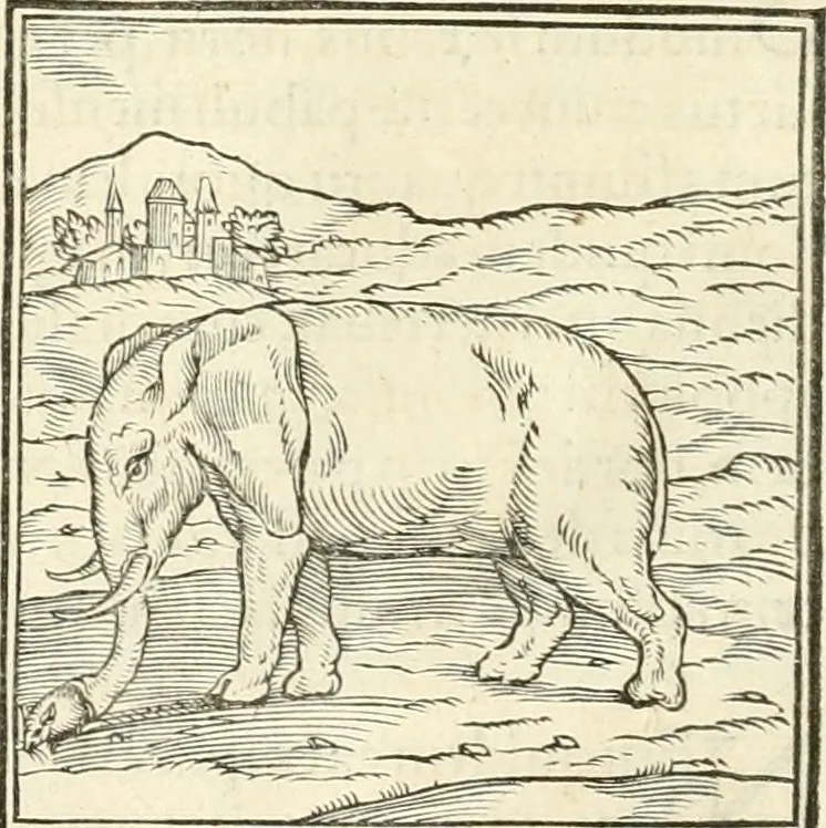 An illustration from Hieroglyphica, sive, De sacris Aegyptiorvm literis commentarii, 1556, leaf 39
