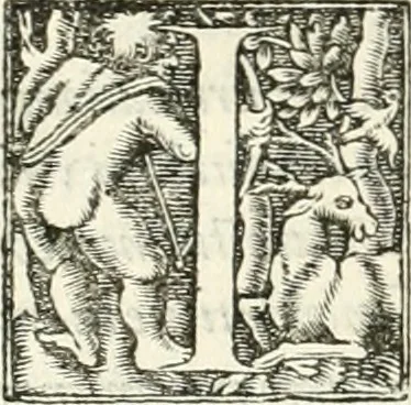 An illustration from Hieroglyphica, sive, De sacris Aegyptiorvm literis commentarii, 1556, leaf 391