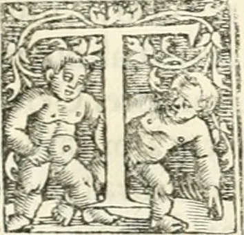 An illustration from Hieroglyphica, sive, De sacris Aegyptiorvm literis commentarii, 1556, leaf 402