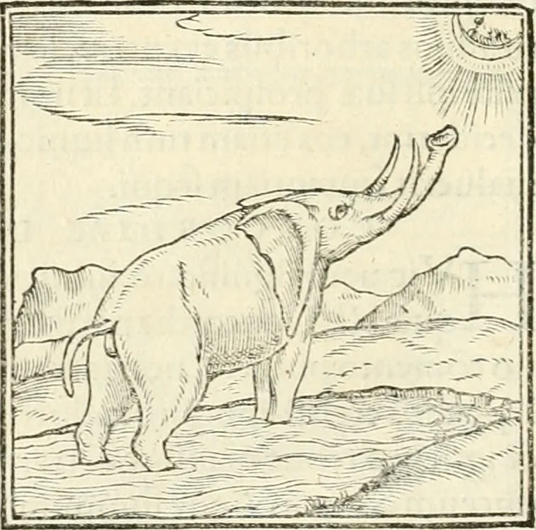 An illustration from Hieroglyphica, sive, De sacris Aegyptiorvm literis commentarii, 1556, leaf 41