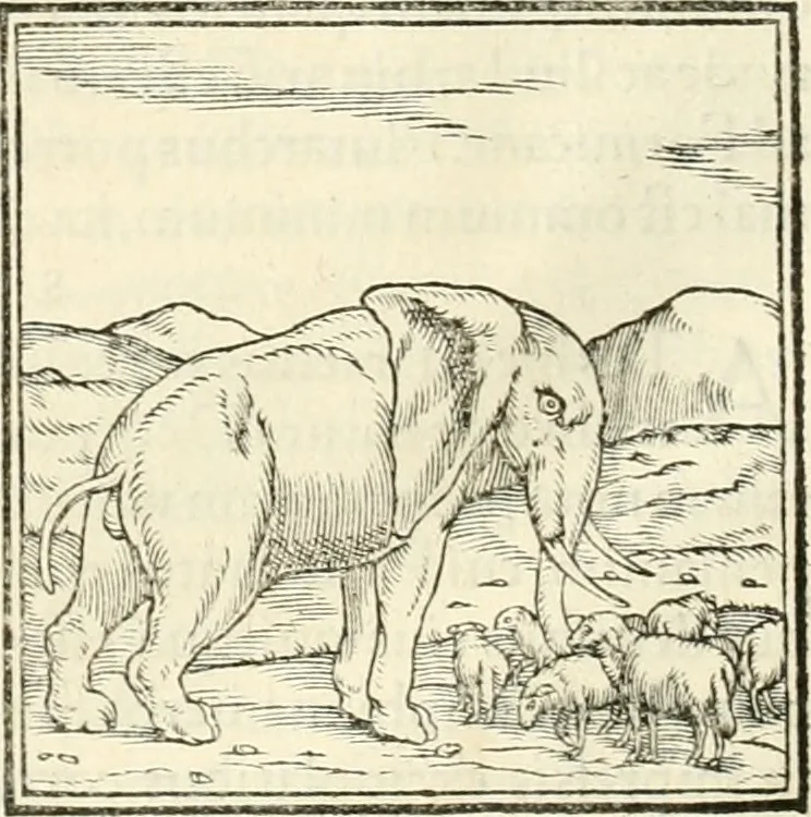 An illustration from Hieroglyphica, sive, De sacris Aegyptiorvm literis commentarii, 1556, leaf 41