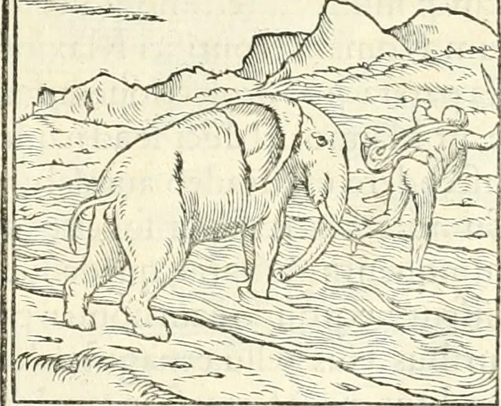 An illustration from Hieroglyphica, sive, De sacris Aegyptiorvm literis commentarii, 1556, leaf 42