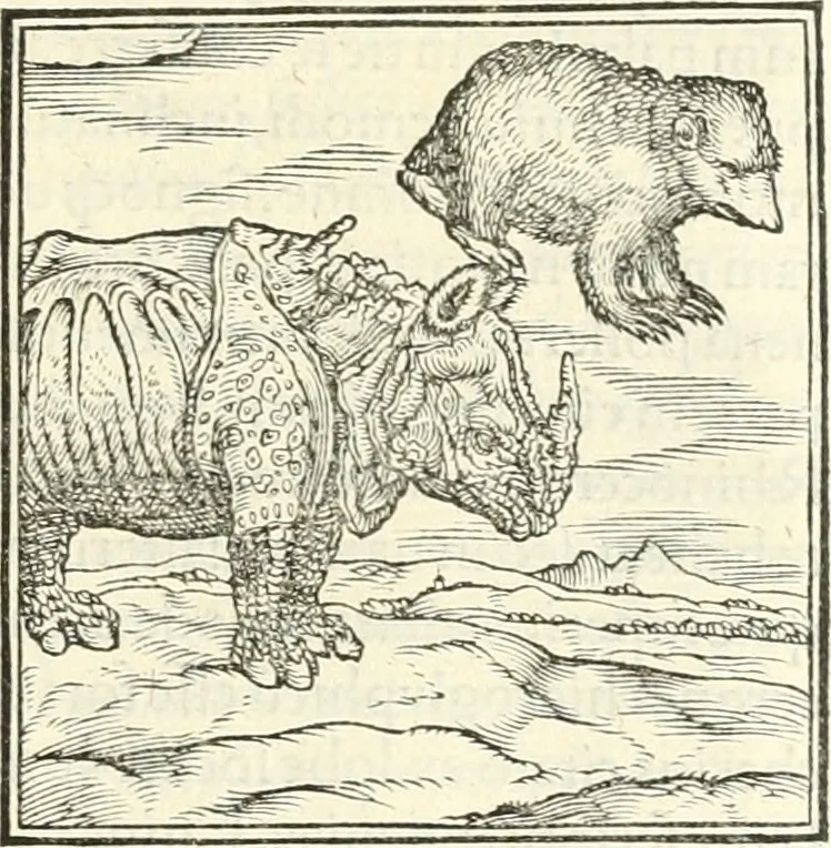 An illustration from Hieroglyphica, sive, De sacris Aegyptiorvm literis commentarii, 1556, leaf 44