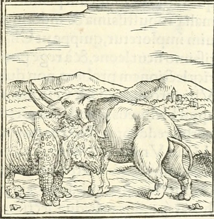 An illustration from Hieroglyphica, sive, De sacris Aegyptiorvm literis commentarii, 1556, leaf 44