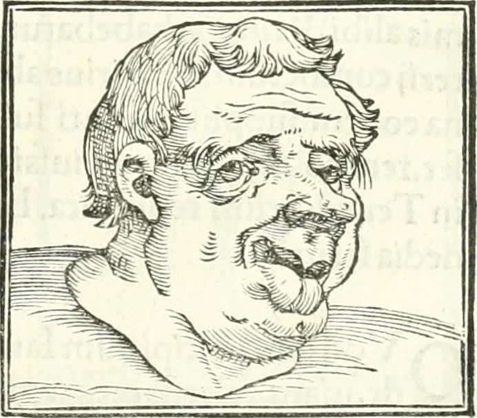 An illustration from Hieroglyphica, sive, De sacris Aegyptiorvm literis commentarii, 1556, leaf 456