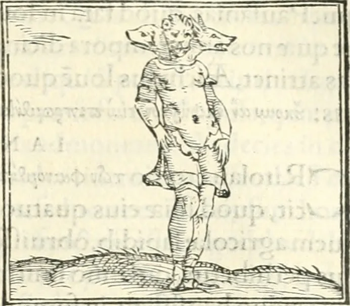 An illustration from Hieroglyphica, sive, De sacris Aegyptiorvm literis commentarii, 1556, leaf 460