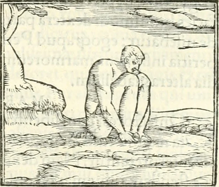 An illustration from Hieroglyphica, sive, De sacris Aegyptiorvm literis commentarii, 1556, leaf 462