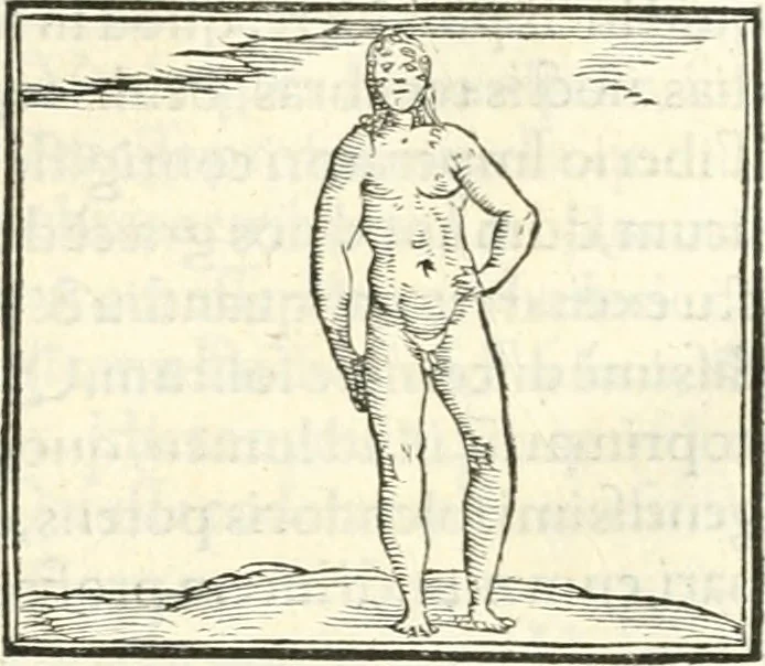 An illustration from Hieroglyphica, sive, De sacris Aegyptiorvm literis commentarii, 1556, leaf 470