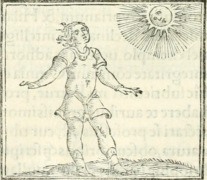 An illustration from Hieroglyphica, sive, De sacris Aegyptiorvm literis commentarii, 1556, leaf 473