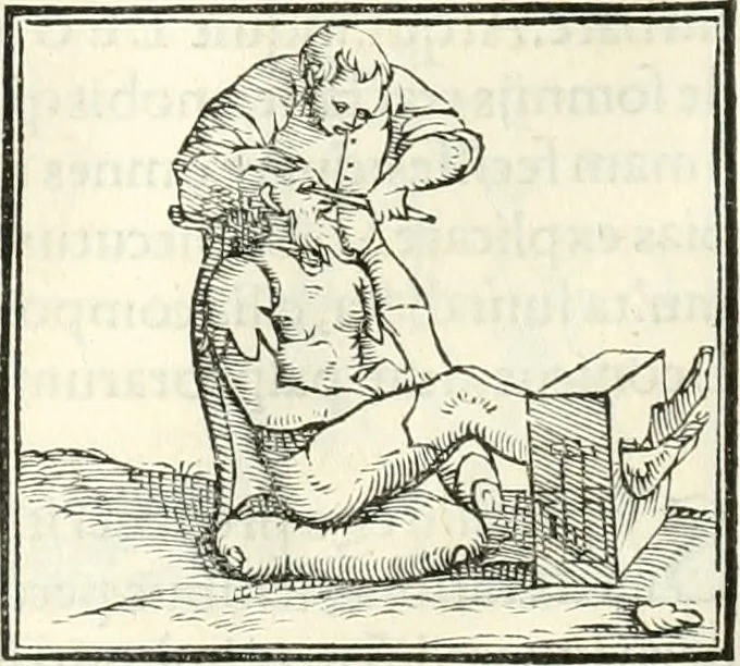 An illustration from Hieroglyphica, sive, De sacris Aegyptiorvm literis commentarii, 1556, leaf 475