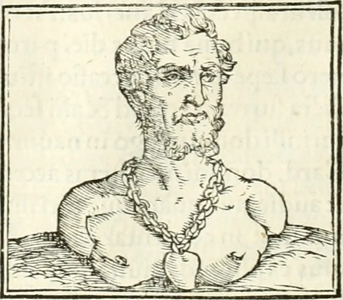 An illustration from Hieroglyphica, sive, De sacris Aegyptiorvm literis commentarii, 1556, leaf 485