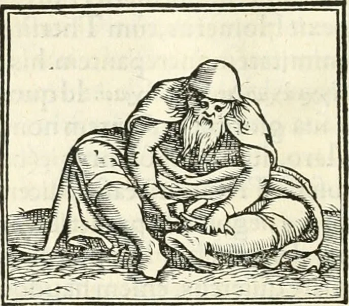 An illustration from Hieroglyphica, sive, De sacris Aegyptiorvm literis commentarii, 1556, leaf 495