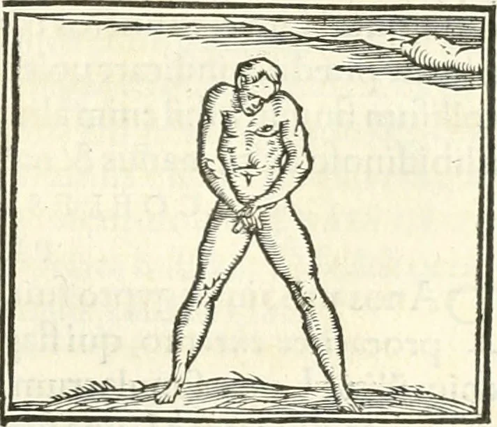 An illustration from Hieroglyphica, sive, De sacris Aegyptiorvm literis commentarii, 1556, leaf 496