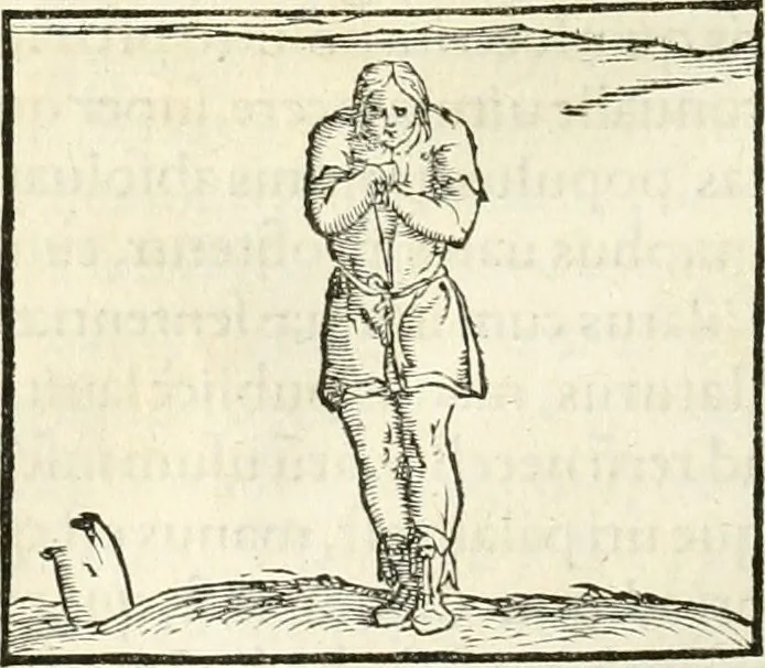 An illustration from Hieroglyphica, sive, De sacris Aegyptiorvm literis commentarii, 1556, leaf 505