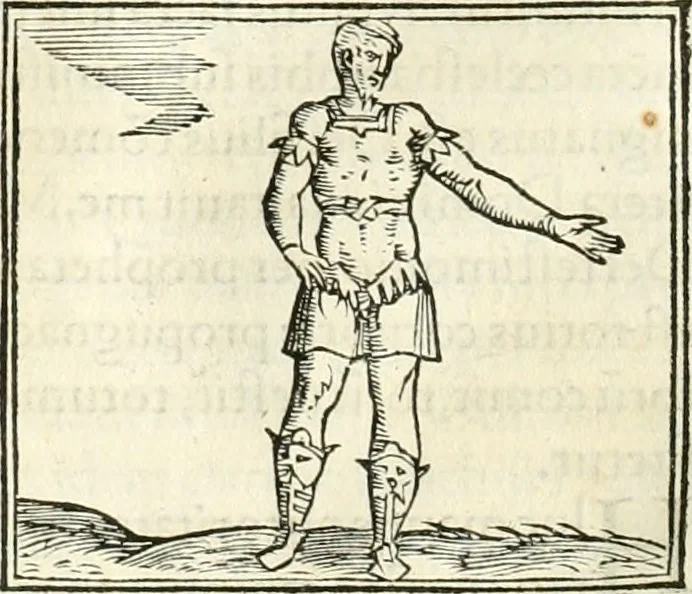 An illustration from Hieroglyphica, sive, De sacris Aegyptiorvm literis commentarii, 1556, leaf 505