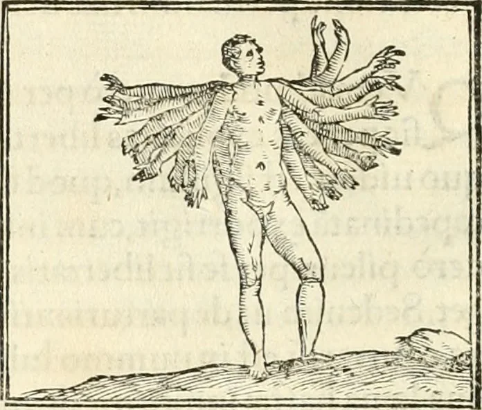An illustration from Hieroglyphica, sive, De sacris Aegyptiorvm literis commentarii, 1556, leaf 507