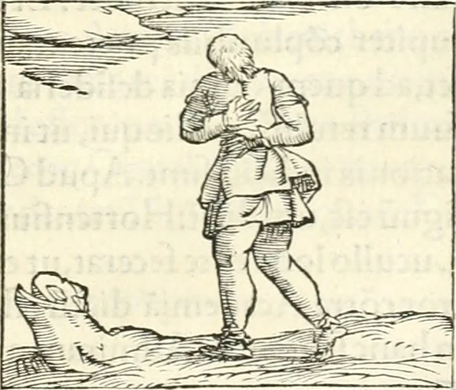 An illustration from Hieroglyphica, sive, De sacris Aegyptiorvm literis commentarii, 1556, leaf 508