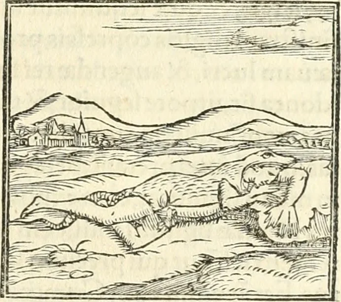 An illustration from Hieroglyphica, sive, De sacris Aegyptiorvm literis commentarii, 1556, leaf 512