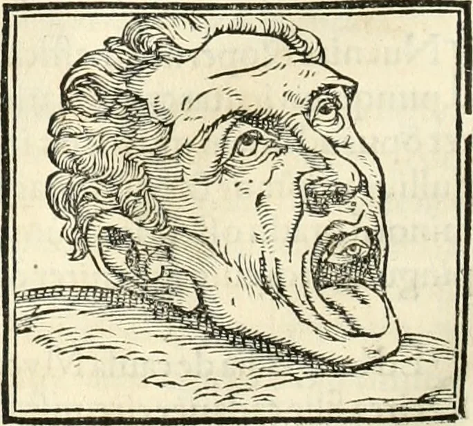 An illustration from Hieroglyphica, sive, De sacris Aegyptiorvm literis commentarii, 1556, leaf 513