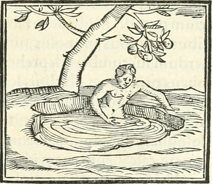 An illustration from Hieroglyphica, sive, De sacris Aegyptiorvm literis commentarii, 1556, leaf 516