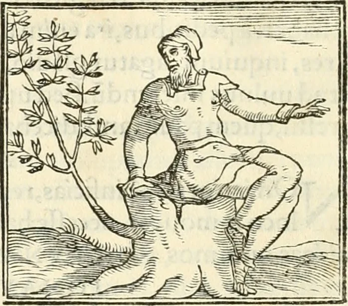 An illustration from Hieroglyphica, sive, De sacris Aegyptiorvm literis commentarii, 1556, leaf 519