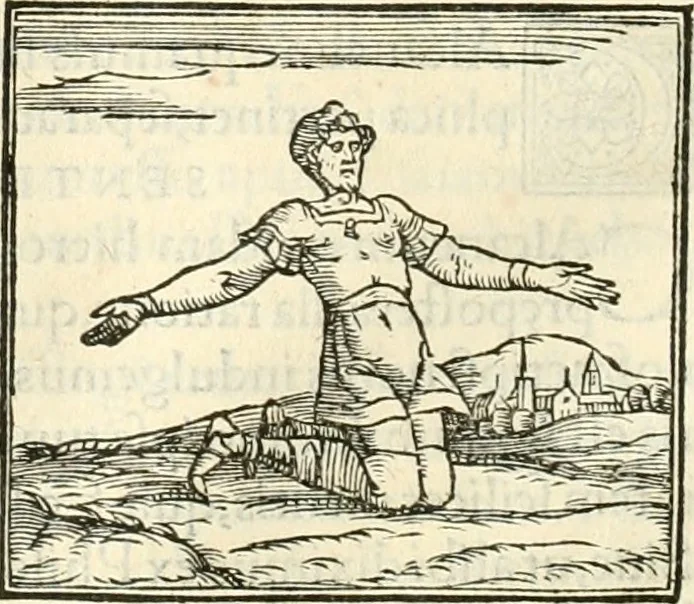 An illustration from Hieroglyphica, sive, De sacris Aegyptiorvm literis commentarii, 1556, leaf 519