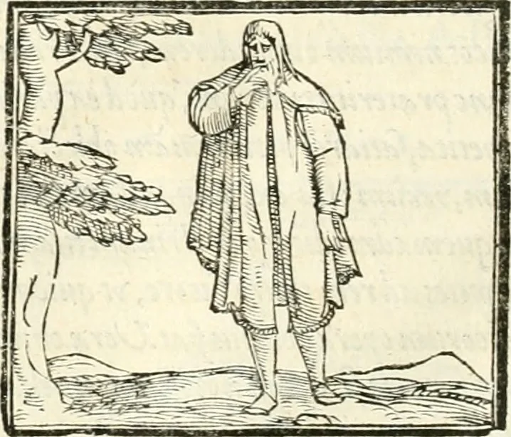 An illustration from Hieroglyphica, sive, De sacris Aegyptiorvm literis commentarii, 1556, leaf 521