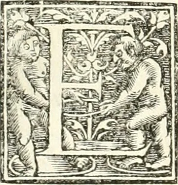 An illustration from Hieroglyphica, sive, De sacris Aegyptiorvm literis commentarii, 1556, leaf 555