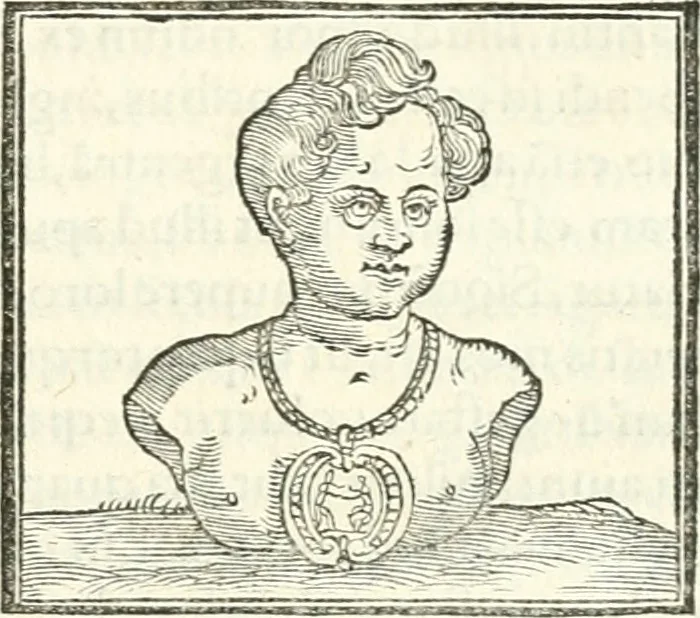 An illustration from Hieroglyphica, sive, De sacris Aegyptiorvm literis commentarii, 1556, leaf 604