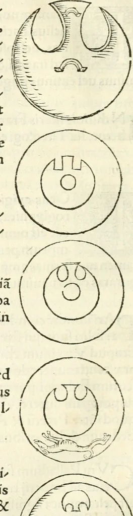 An illustration from Hieroglyphica, sive, De sacris Aegyptiorvm literis commentarii, 1556, leaf 627