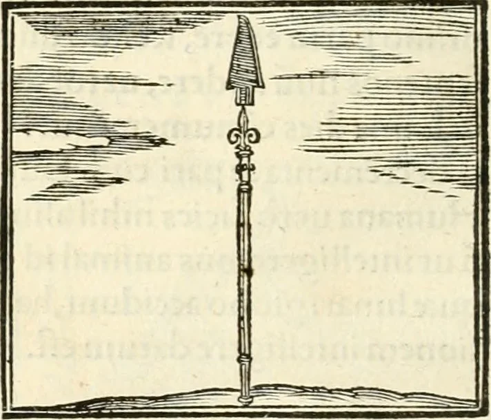 An illustration from Hieroglyphica, sive, De sacris Aegyptiorvm literis commentarii, 1556, leaf 711