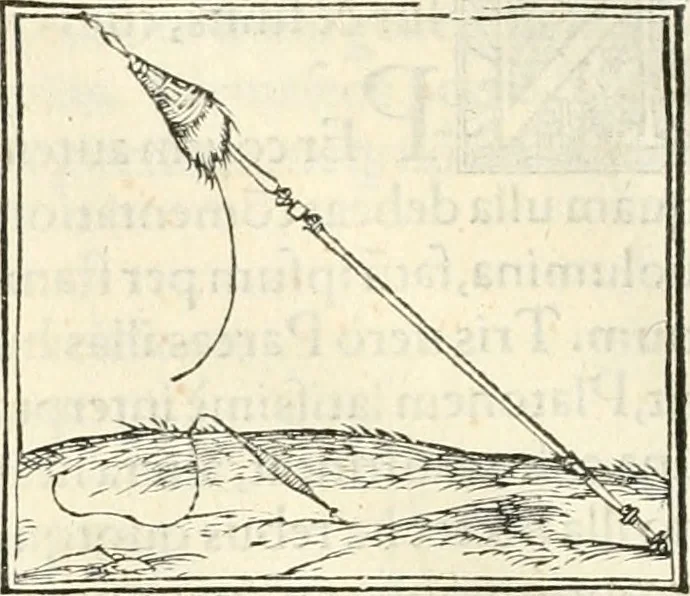 An illustration from Hieroglyphica, sive, De sacris Aegyptiorvm literis commentarii, 1556, leaf 715