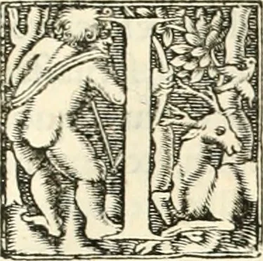 An illustration from Hieroglyphica, sive, De sacris Aegyptiorvm literis commentarii, 1556, leaf 752