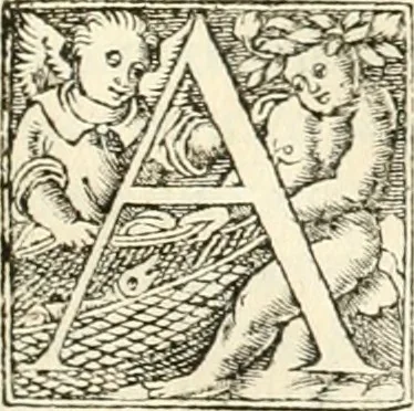 An illustration from Hieroglyphica, sive, De sacris Aegyptiorvm literis commentarii, 1556, leaf 800