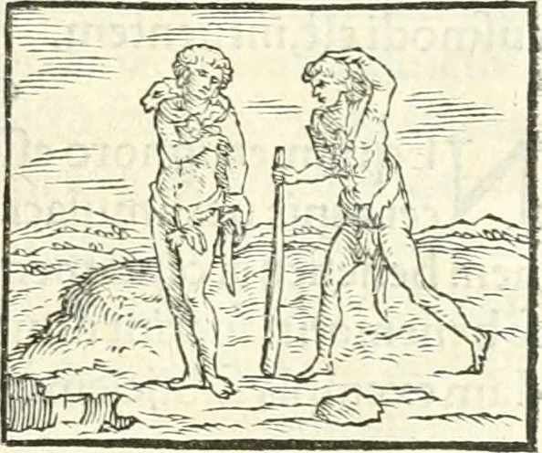 An illustration from Hieroglyphica, sive, De sacris Aegyptiorvm literis commentarii, 1556, leaf 82