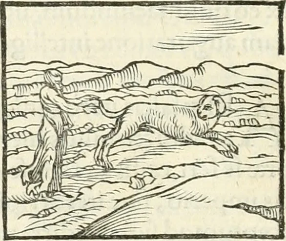 An illustration from Hieroglyphica, sive, De sacris Aegyptiorvm literis commentarii, 1556, leaf 87