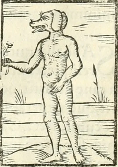 An illustration from Hieroglyphica, sive, De sacris Aegyptiorvm literis commentarii, 1556, leaf 91