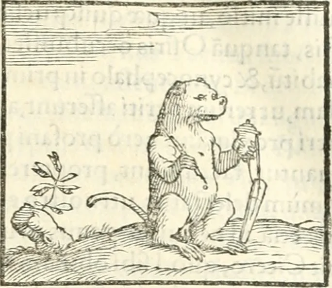 An illustration from Hieroglyphica, sive, De sacris Aegyptiorvm literis commentarii, 1556, leaf 96