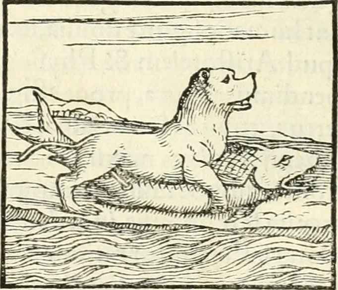 An illustration from Hieroglyphica, sive, De sacris Aegyptiorvm literis commentarii, 1556, leaf 97