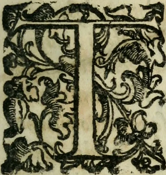 An illustration from De sacrosan to missae sacrificio decisiones, avctore Joanne Clericato ... in qvibus ex studio, & responsis cleri Patavini anno 1690, non solum praecipue quaestiones concernentes veritatem ... & obligationibus sacerdotum, 1700, leaf 14