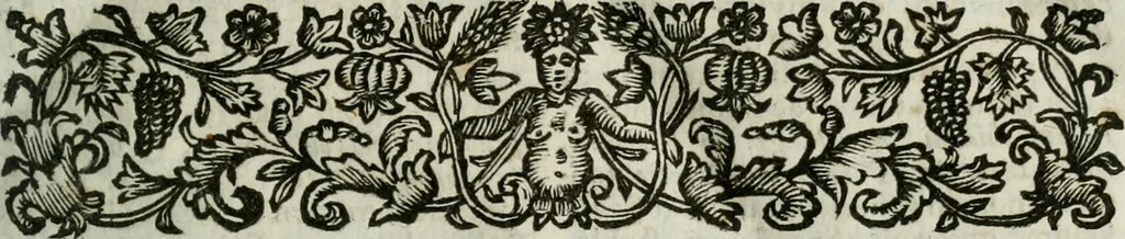 An illustration from De sacrosan to missae sacrificio decisiones, avctore Joanne Clericato ... in qvibus ex studio, & responsis cleri Patavini anno 1690, non solum praecipue quaestiones concernentes veritatem ... & obligationibus sacerdotum, 1700, leaf 28