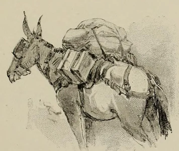 An illustration from De Saint-Louis a Tripoli par le Lac Tchad : voyage au travers du Soudan et du Sahara accompli pendant les années 1890-91-92, 1895, leaf 109