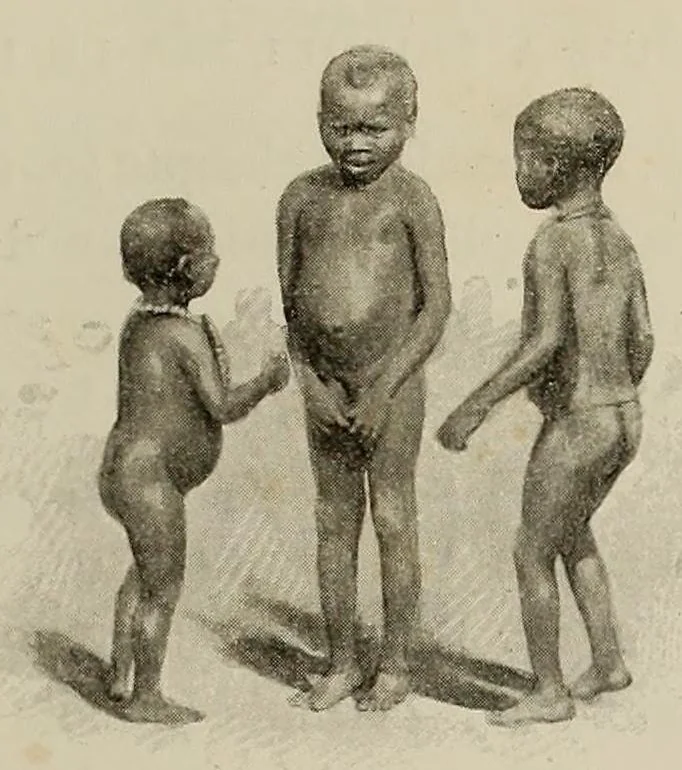 An illustration from De Saint-Louis a Tripoli par le Lac Tchad : voyage au travers du Soudan et du Sahara accompli pendant les années 1890-91-92, 1895, leaf 323