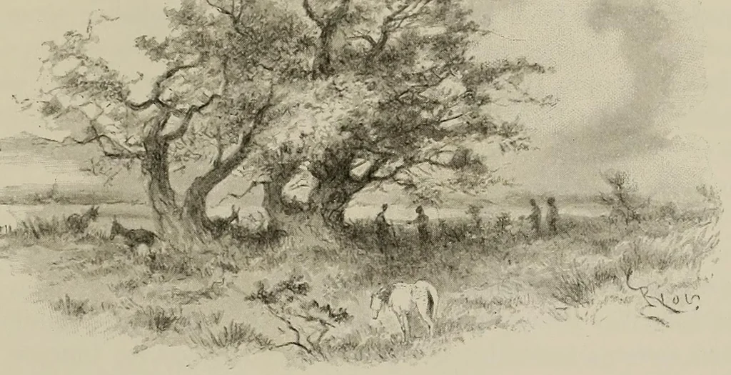 An illustration from De Saint-Louis a Tripoli par le Lac Tchad : voyage au travers du Soudan et du Sahara accompli pendant les années 1890-91-92, 1895, leaf 451