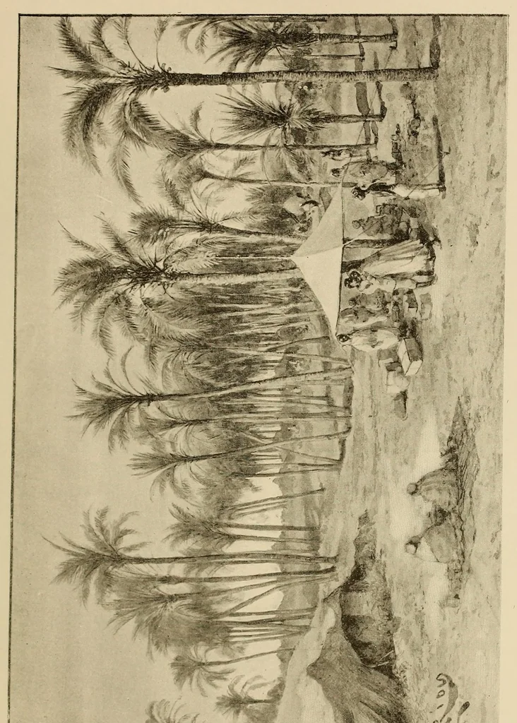 An illustration from De Saint-Louis a Tripoli par le Lac Tchad : voyage au travers du Soudan et du Sahara accompli pendant les années 1890-91-92, 1895, leaf 447