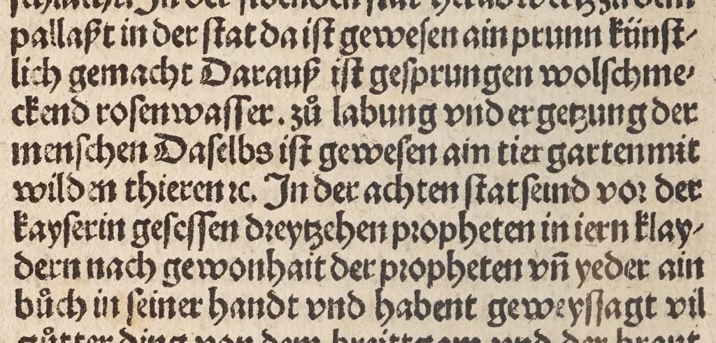 An illustration from Des allerdurchleichtigsten vnnd vnüberwindlichsten Fürsten vund Herzen , hern Friderichen des dritten Roemischen Kaysers, vnd frawen Leonora, Künigin auf Portugal, vermächelunng vñ Kroenung zc. : darnach des allerdurchleüchtigisten vnd grossmechtigisten Fürsten vñ Herzen, herzn Maximilian Roemischen Künigs zc. vnd seiner maiestat Schwester, Kunigund genant, hochloblich gerburd zc., 1503, leaf 30